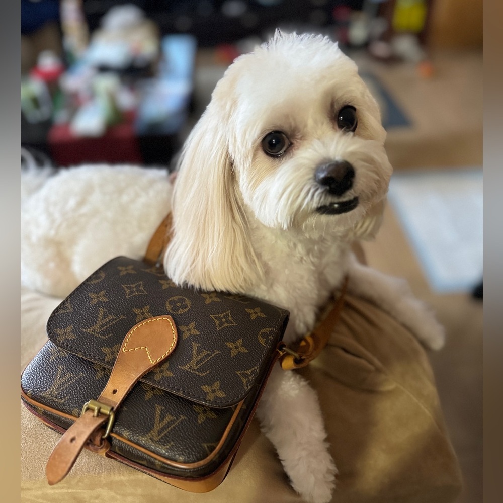 Meet your Posher, Rain